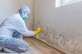 Best Environmental Consulting for Mold Prevention  in Shady Shores, TX