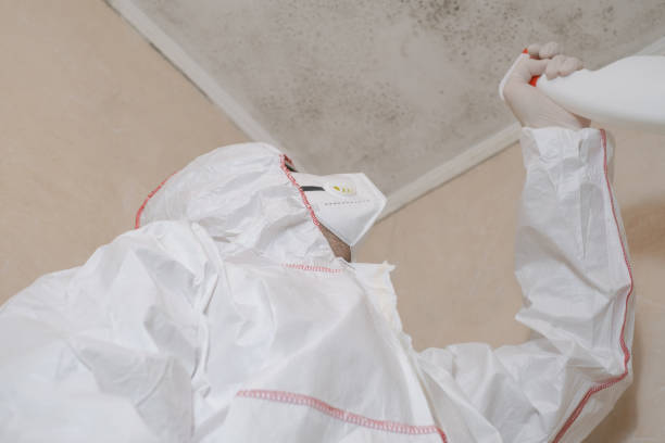 Best Mold Prevention Services  in Shady Shores, TX